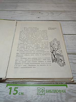 Улица Зелёная