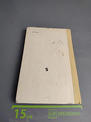 Основы эстетического воспитания