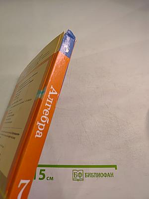 Алгебра 7 класс