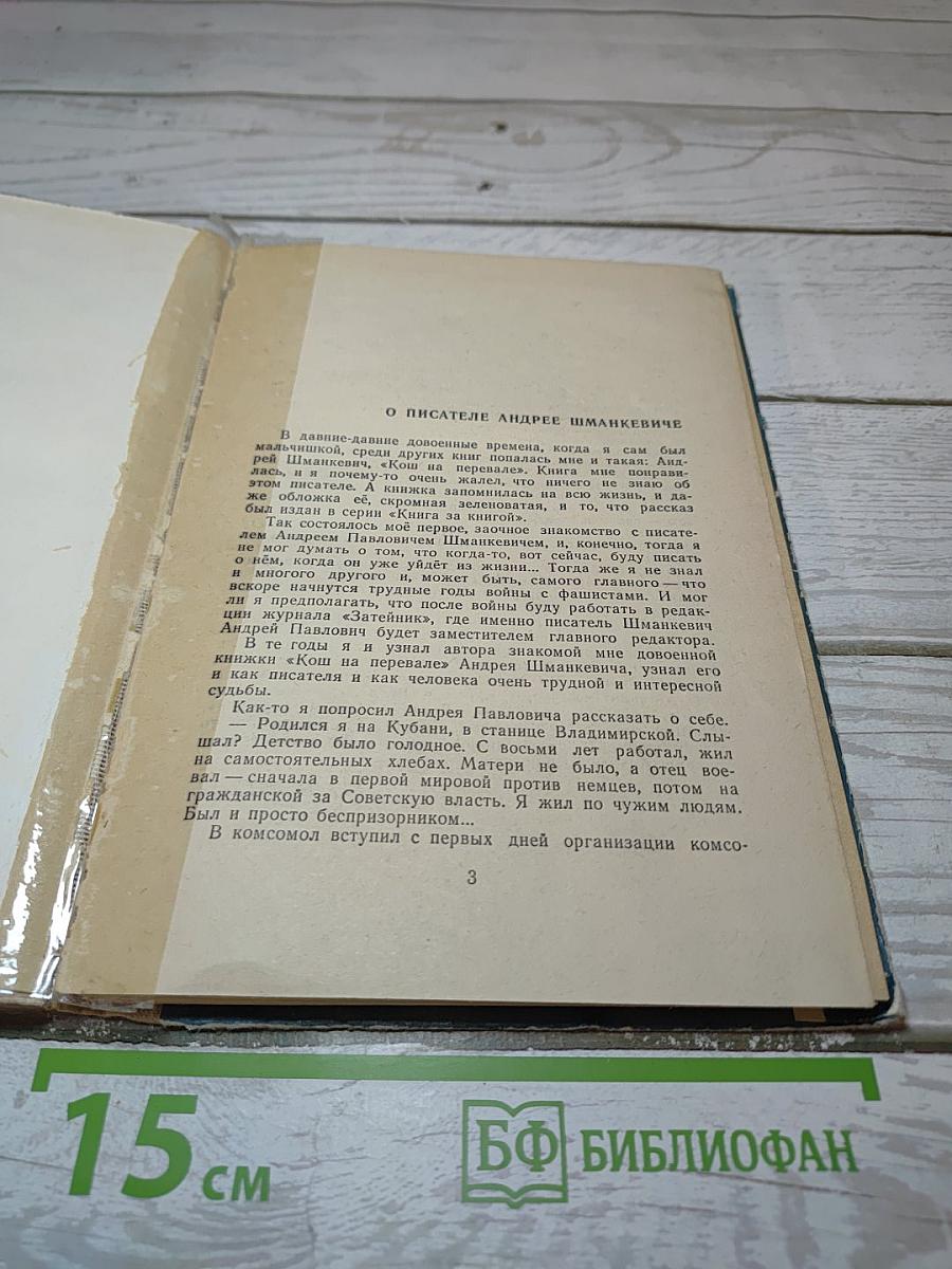 Большая Медведица