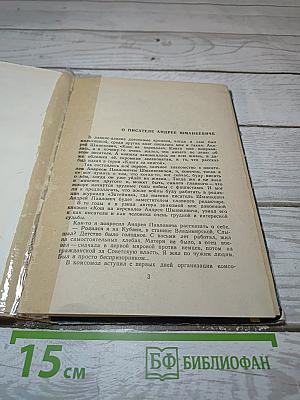 Большая Медведица