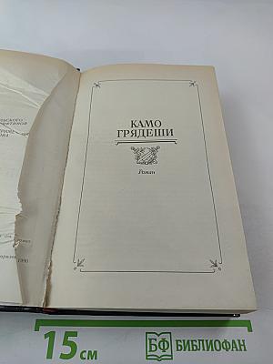 Камо грядеши. Ганя. В прериях