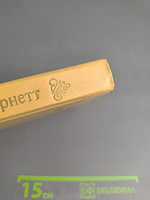 Маленькая принцесса. Чудная девочка (Том 4)