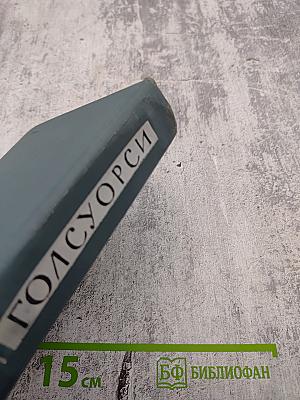 Собрание сочинений в шестнадцати томах. Том 7. Патриция. Темный цветок.