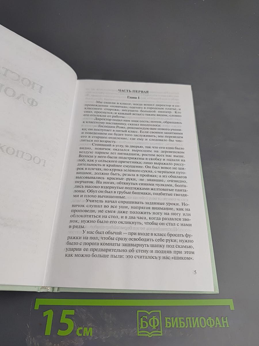 Госпожа Бовари