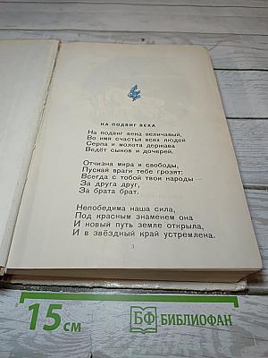 Круглый год
