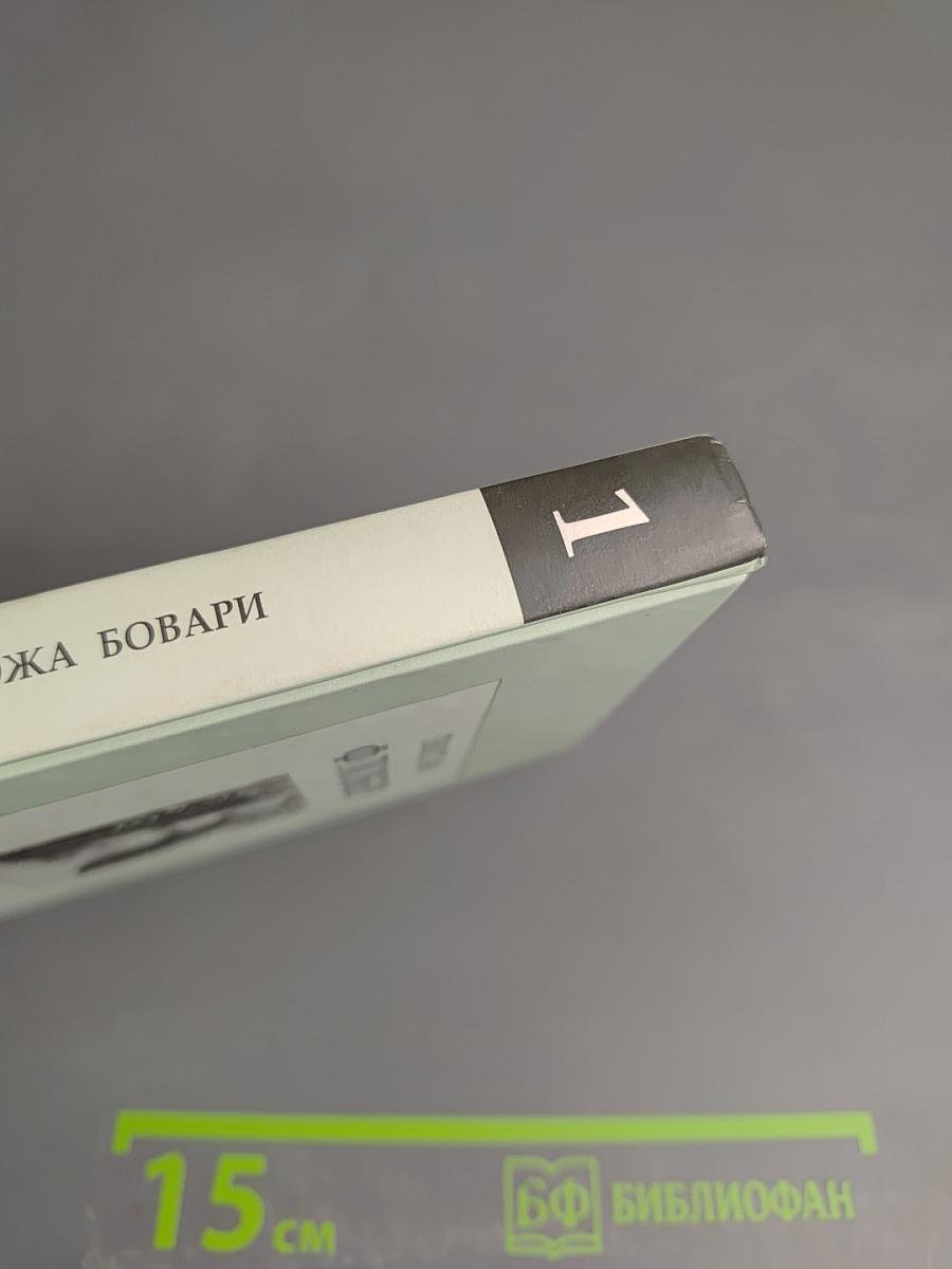 Госпожа Бовари