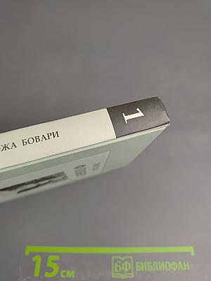 Госпожа Бовари