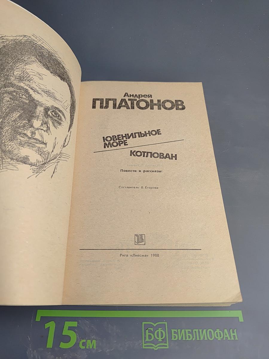 Ювенильное море. Котлован: Повести и рассказы