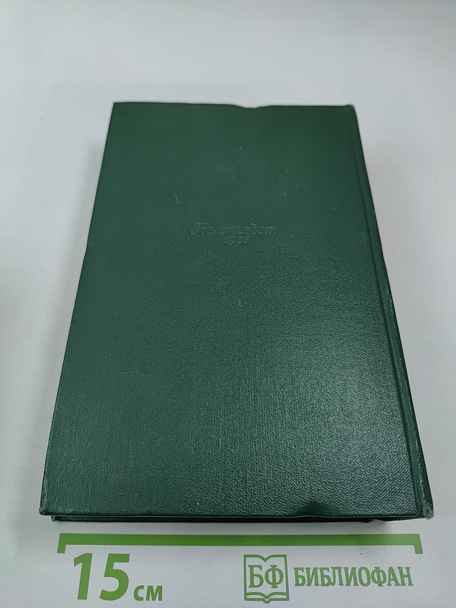 Собрание сочинений. Том 11. Письма 1877-1892