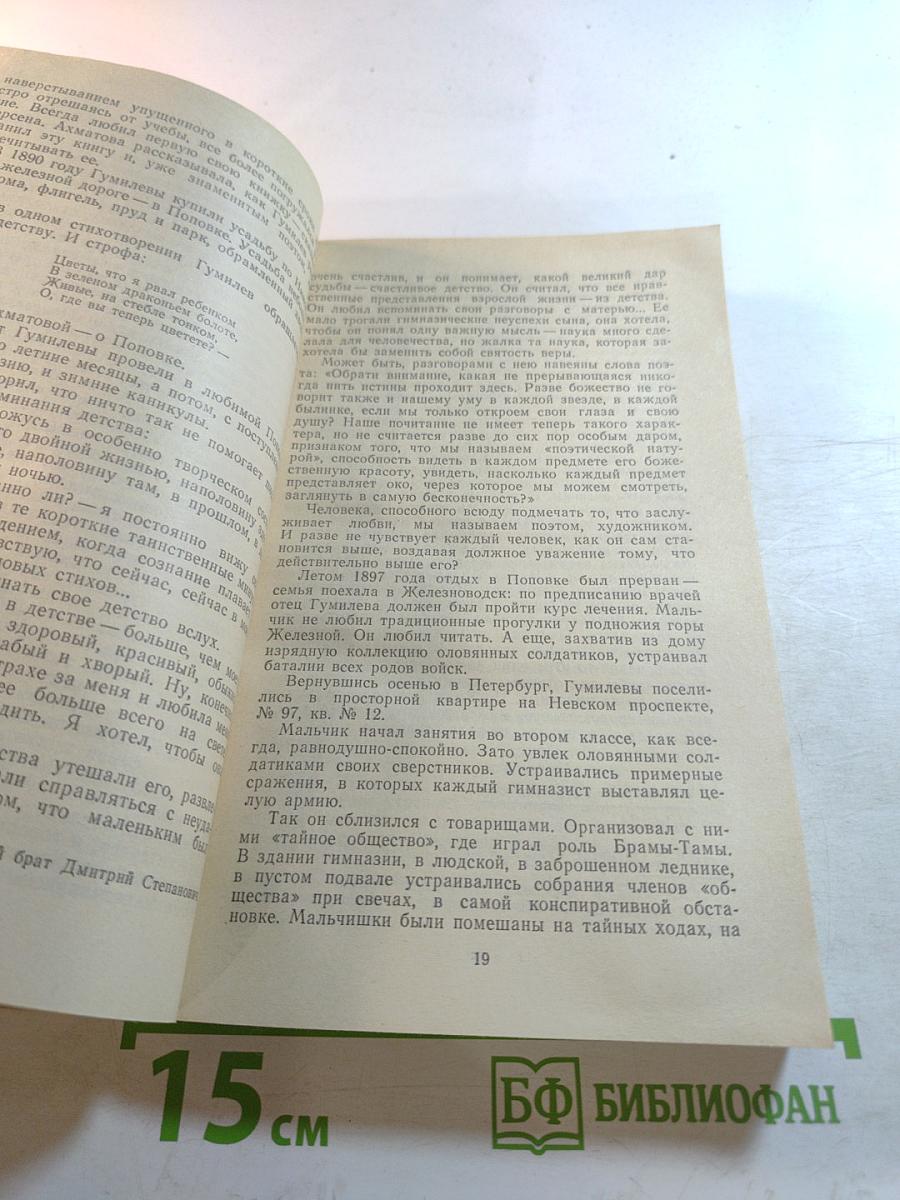Николай Гумилев. Жизнь поэта по материалам домашнего архива семьи Лукницких