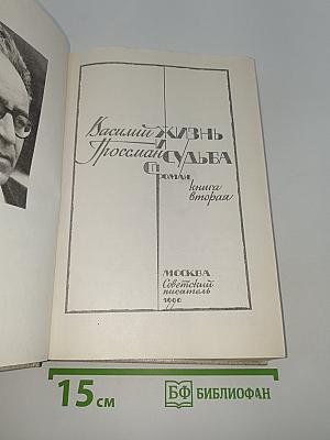 Жизнь и судьба. Книга вторая