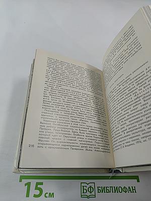 По архитектурным памятникам Киева. Очерки