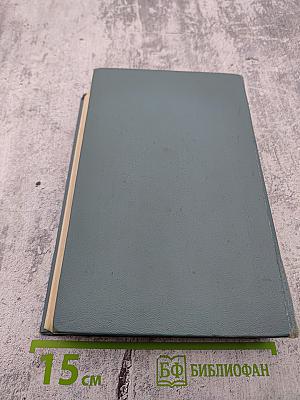 Последний Новик