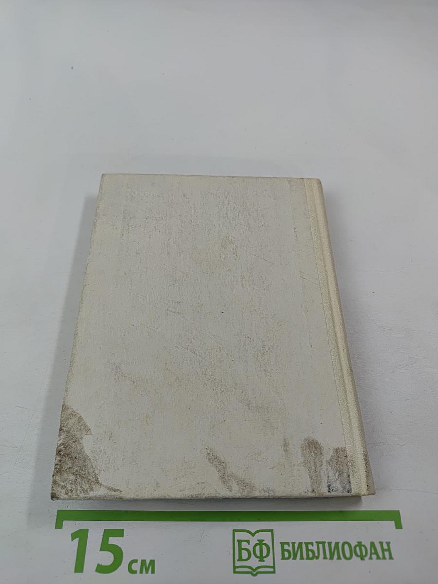 Мусоргский в Петербурге