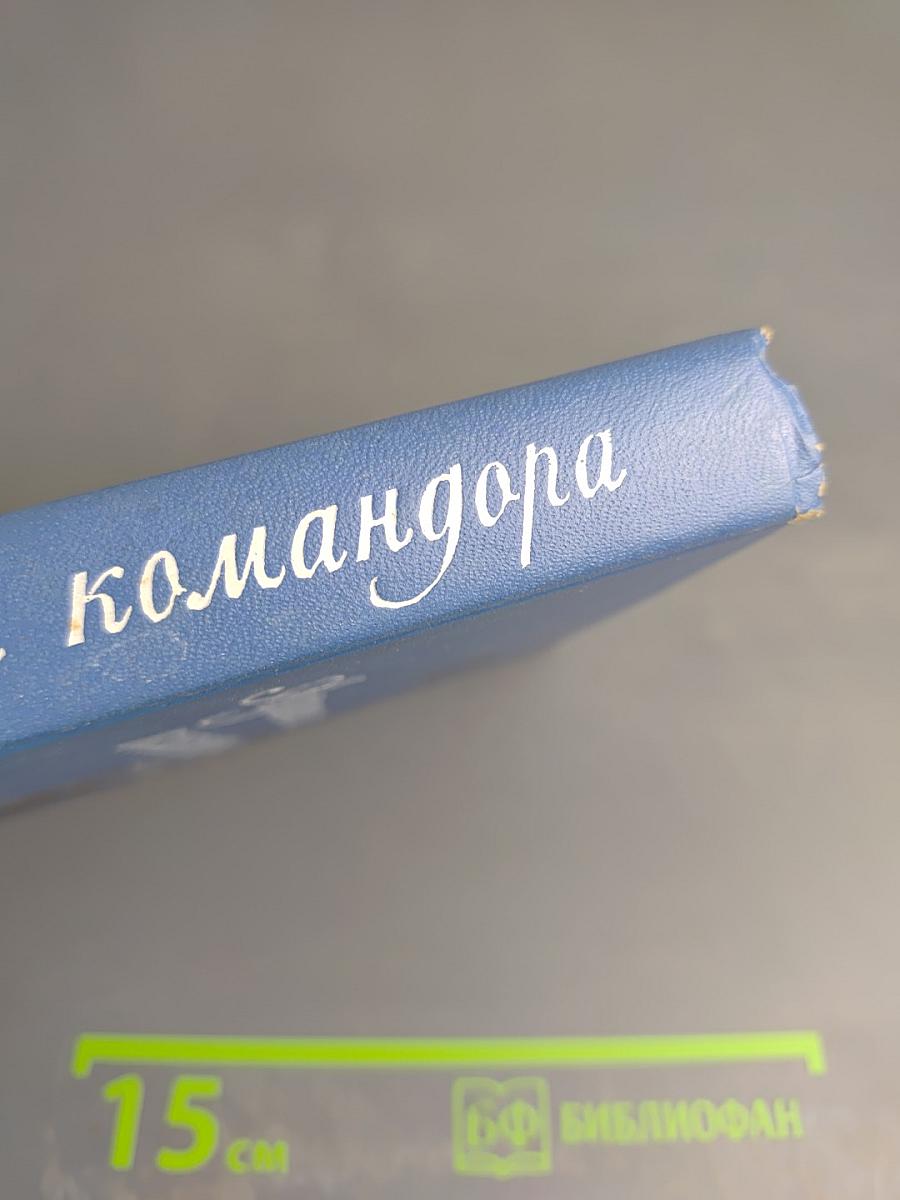 Адъютант командора