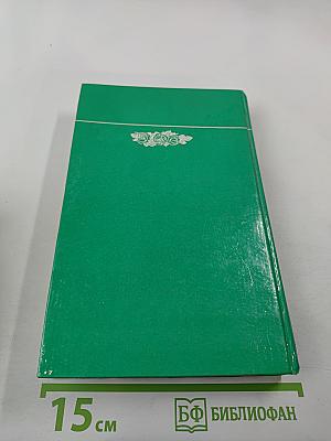 Необычные блюда из обычных овощей