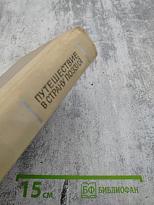 Путешествие в страну поэзия. Книга 2