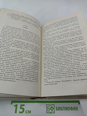 Виконт де Бражелон или Десять лет спустя. Части 1, 2