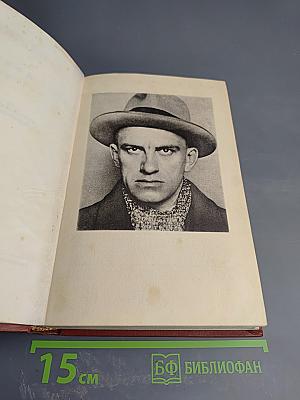 Поэмы. 1919-1927. Том 6