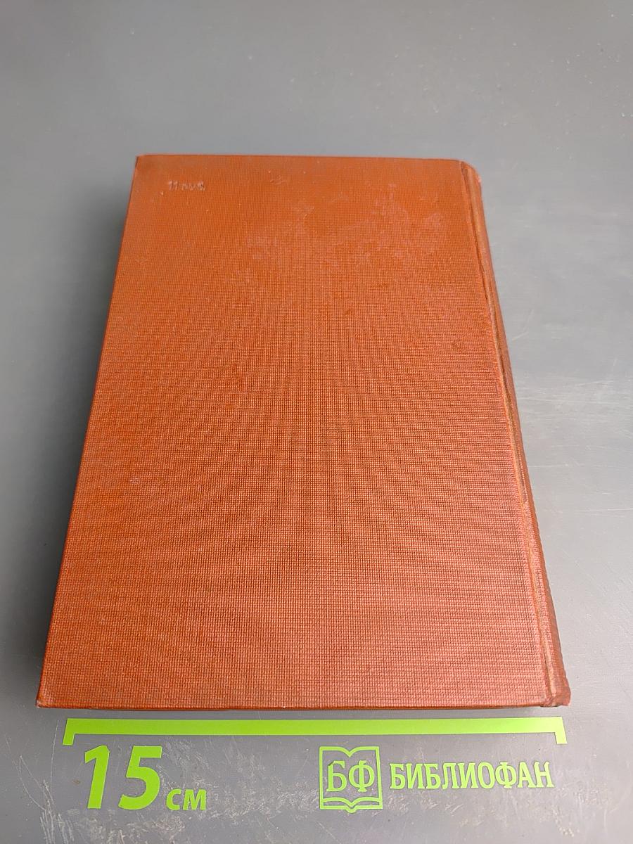 Поэмы. 1919-1927. Том 6