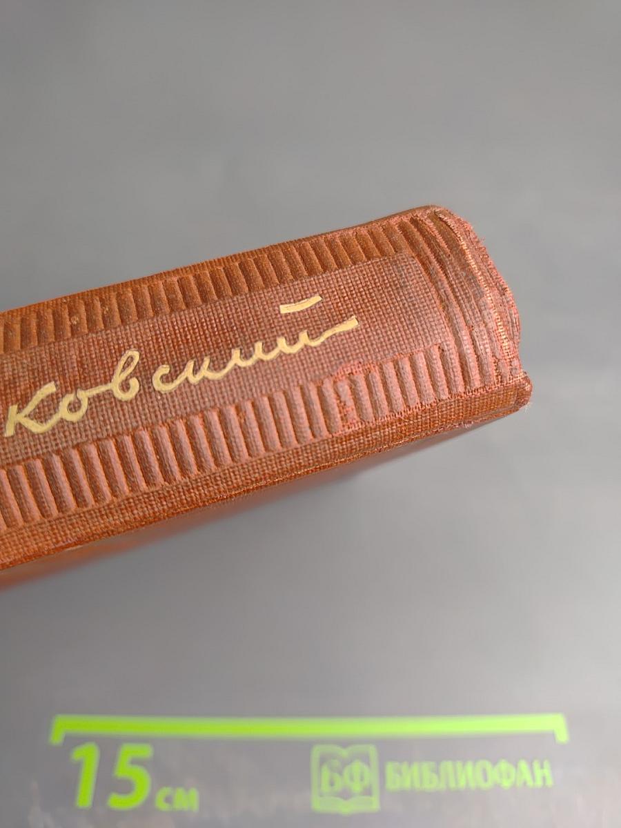 Поэмы. 1919-1927. Том 6