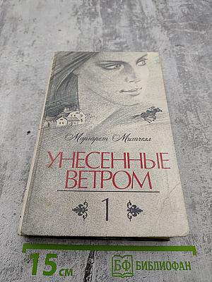 Унесенные ветром. Том 1