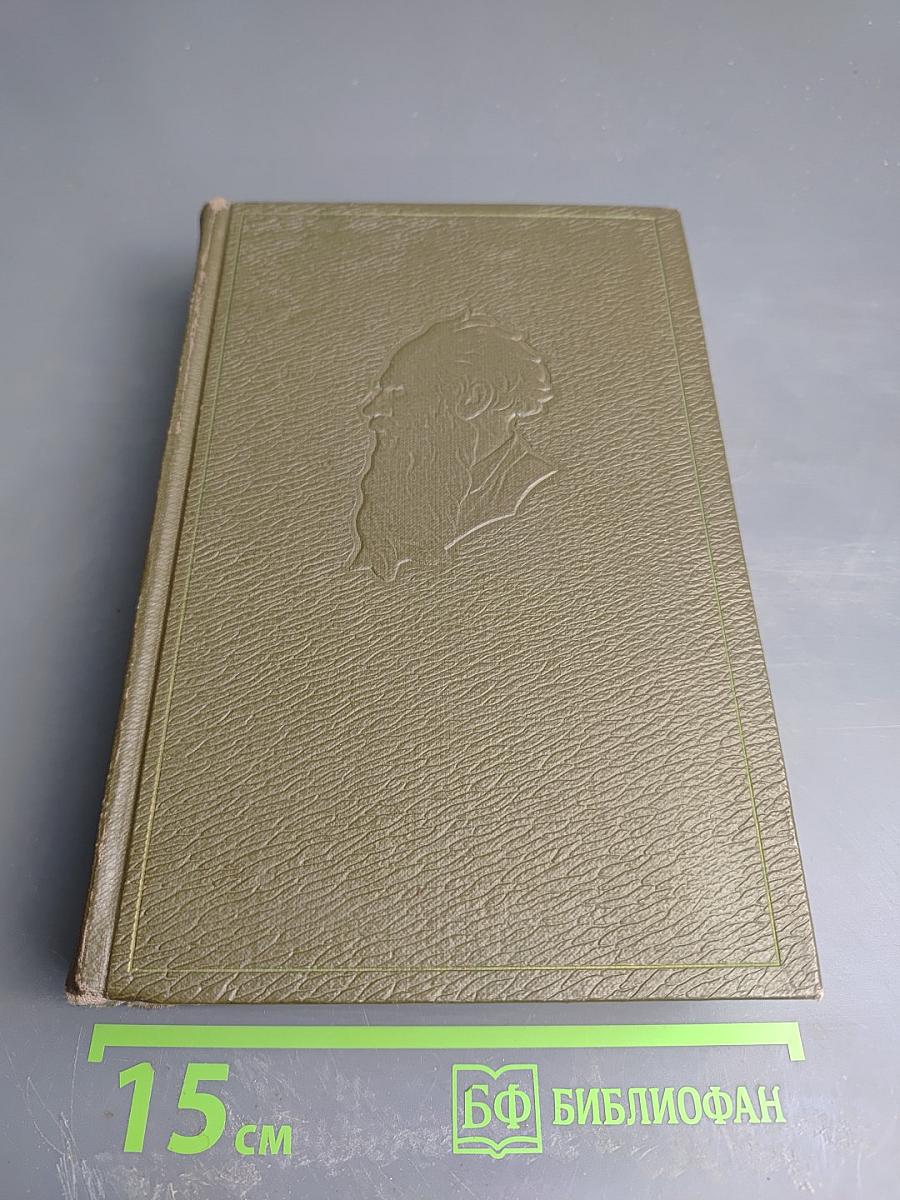 Собрание сочинений. Том десятый: Повести и рассказы 1872-1886 гг.