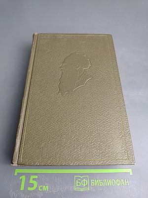 Собрание сочинений. Том десятый: Повести и рассказы 1872-1886 гг.
