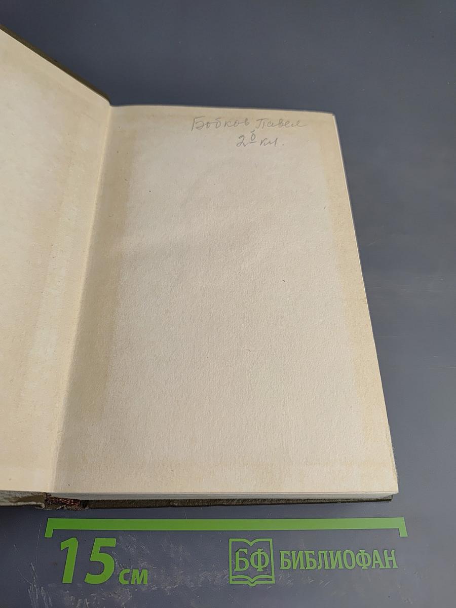 Собрание сочинений. Том десятый: Повести и рассказы 1872-1886 гг.