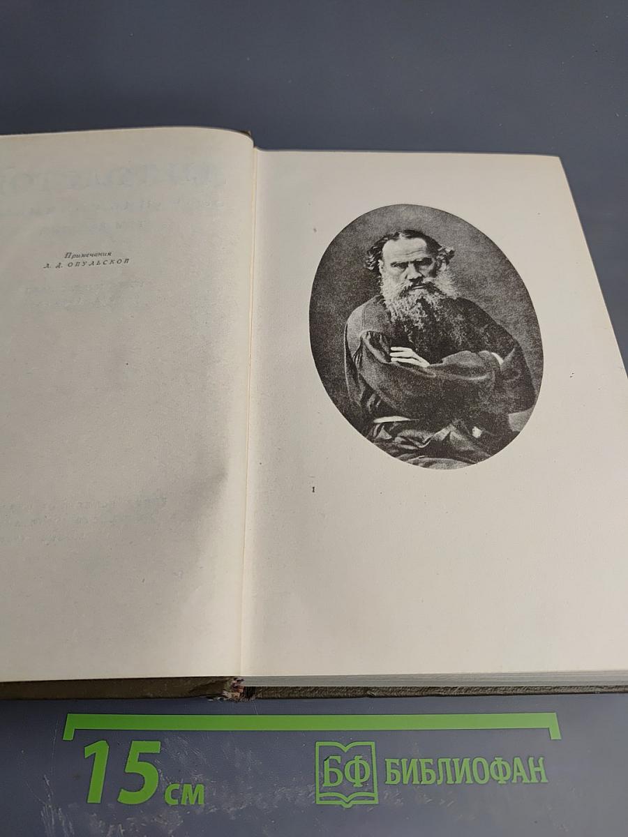 Собрание сочинений. Том десятый: Повести и рассказы 1872-1886 гг.