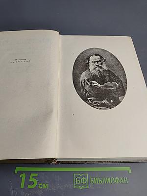 Собрание сочинений. Том десятый: Повести и рассказы 1872-1886 гг.