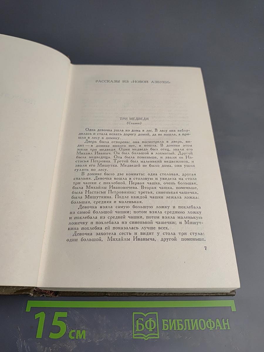 Собрание сочинений. Том десятый: Повести и рассказы 1872-1886 гг.