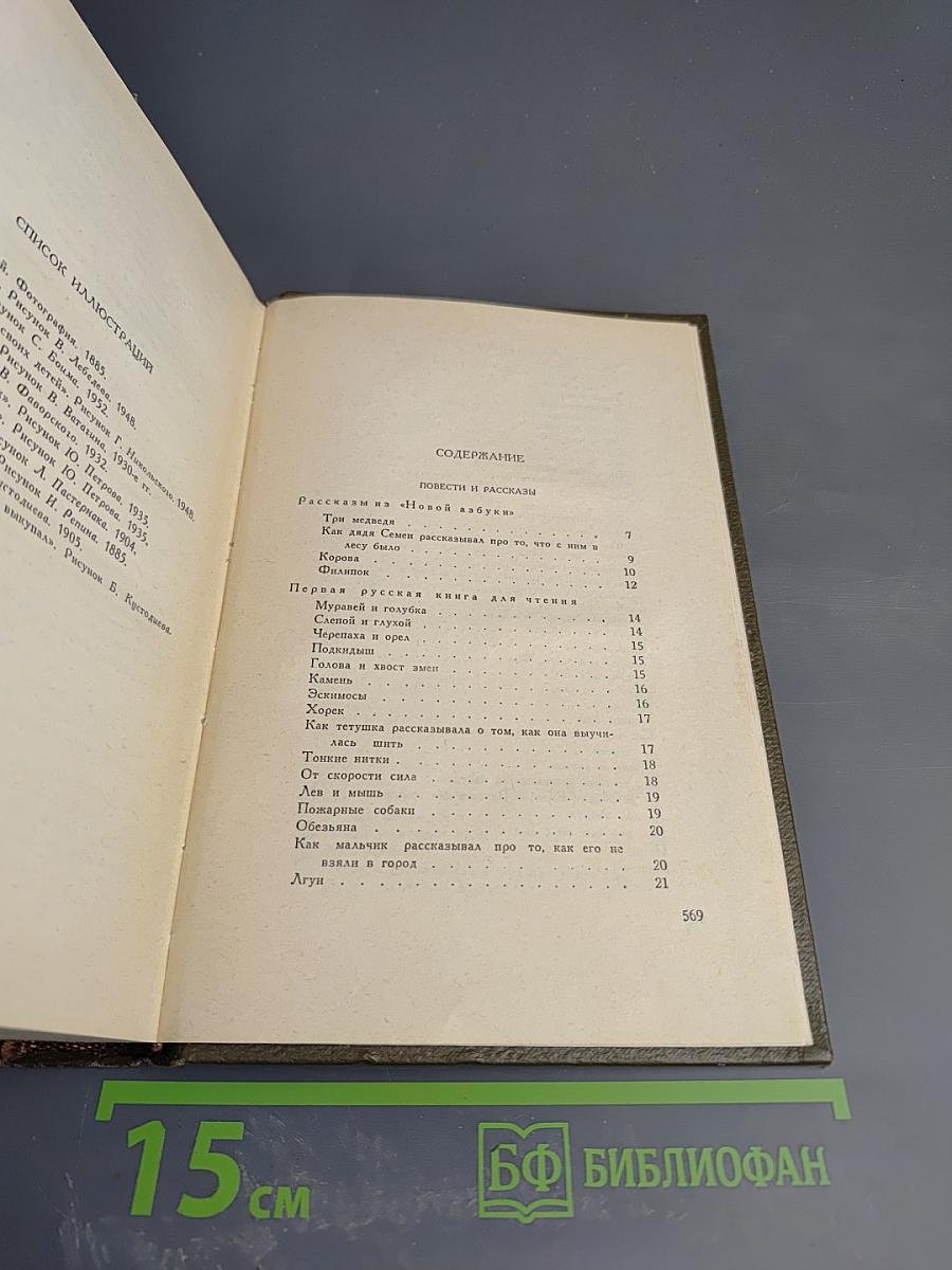 Собрание сочинений. Том десятый: Повести и рассказы 1872-1886 гг.