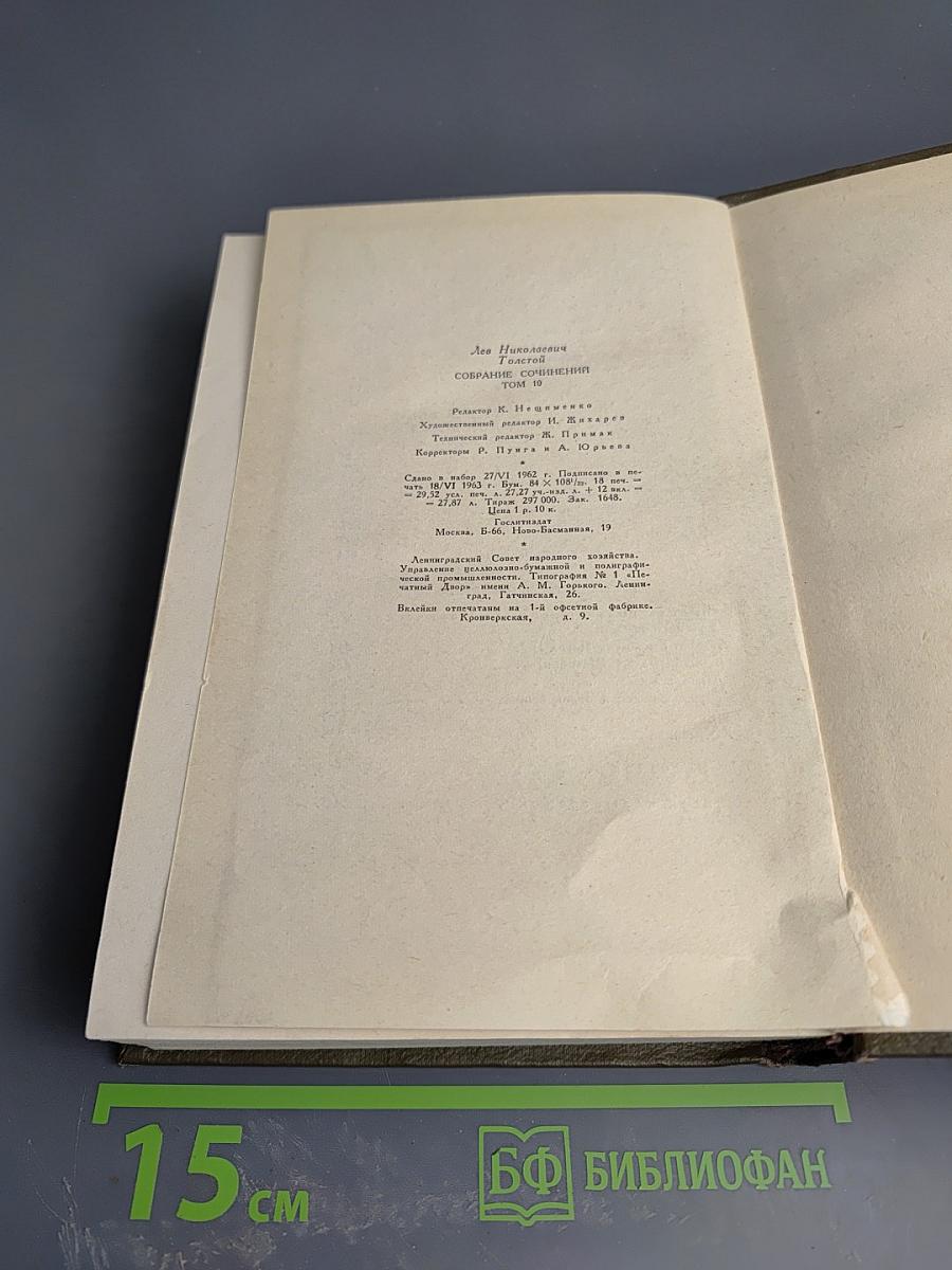 Собрание сочинений. Том десятый: Повести и рассказы 1872-1886 гг.