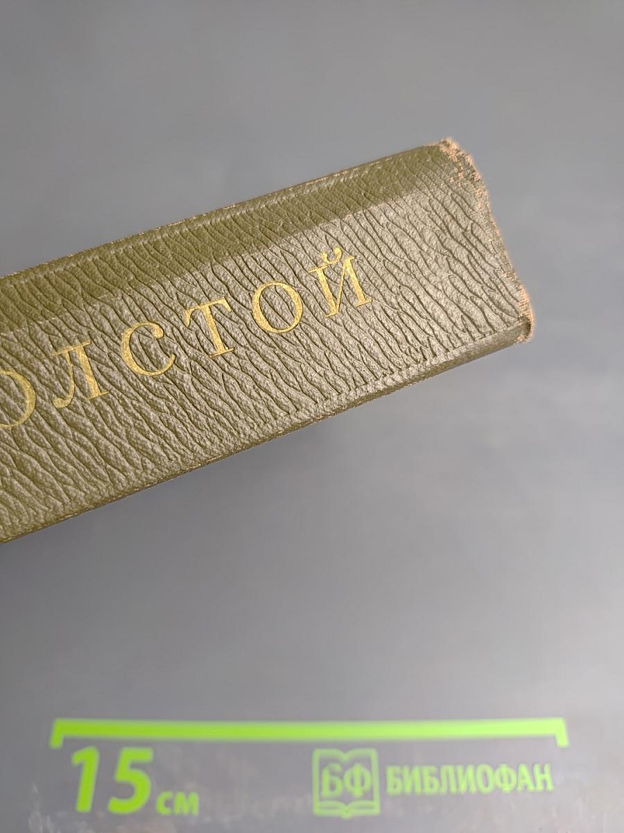 Собрание сочинений. Том десятый: Повести и рассказы 1872-1886 гг.