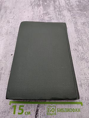 Крошка Доррит. Книга вторая. Собрание сочинений. Том 21