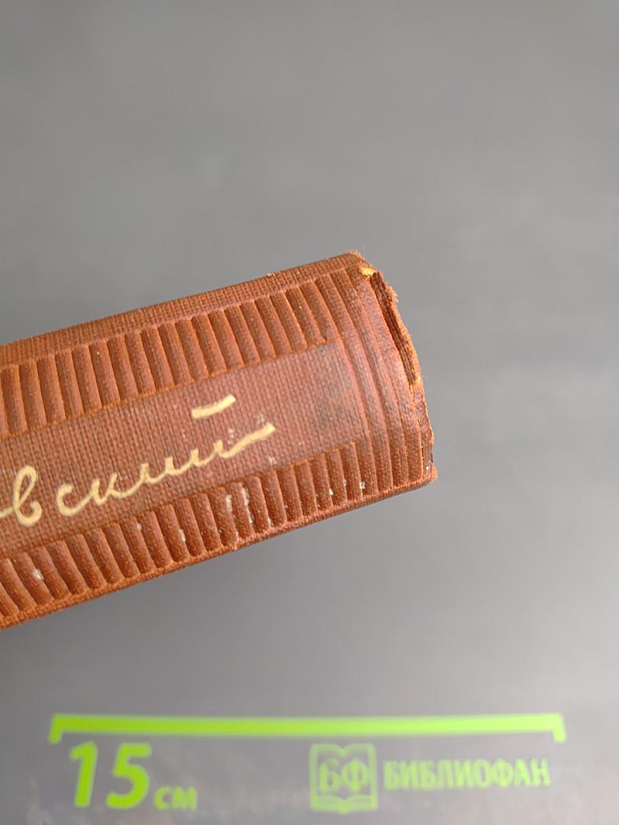 Собрание сочинений. Том 8. Стихи 1926-1927