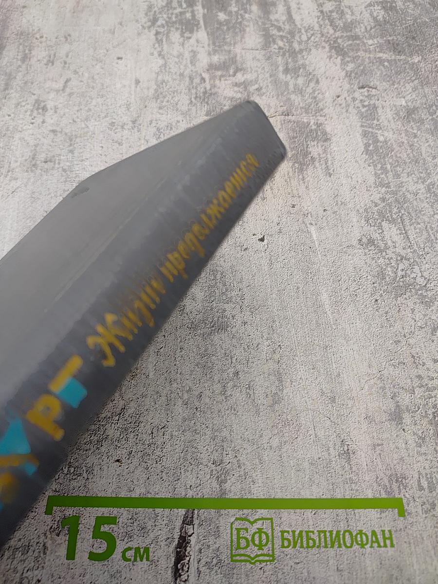 Жизнь продолжается