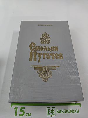 Емельян Пугачев. Историческое повествование. Книга вторая