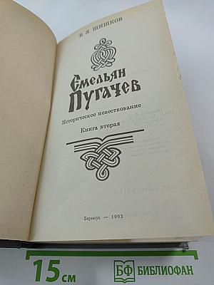 Емельян Пугачев. Историческое повествование. Книга вторая