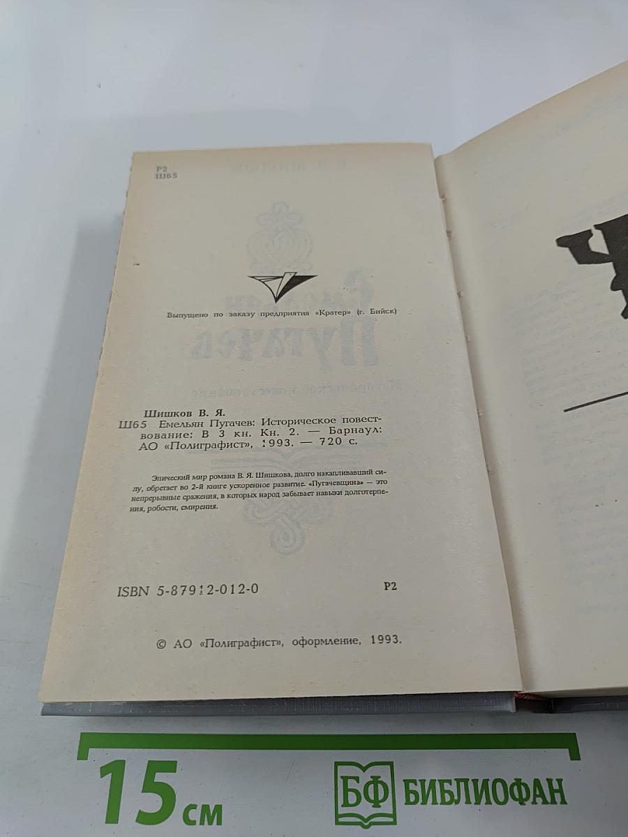 Емельян Пугачев. Историческое повествование. Книга вторая