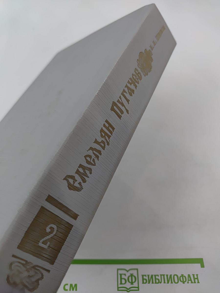 Емельян Пугачев. Историческое повествование. Книга вторая
