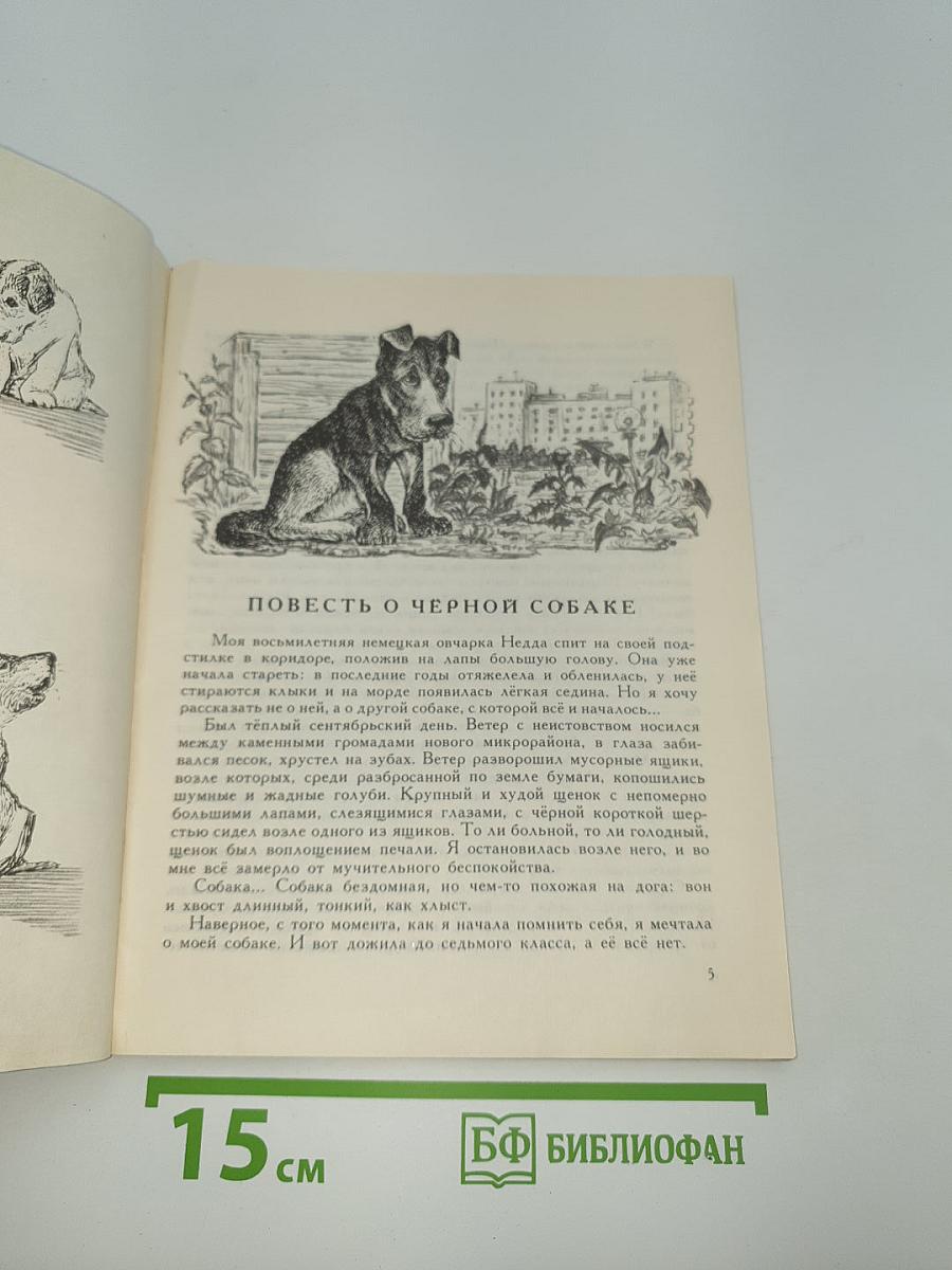 У сопки Стерегущей Рыси