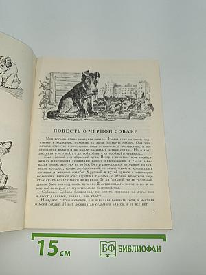 У сопки Стерегущей Рыси