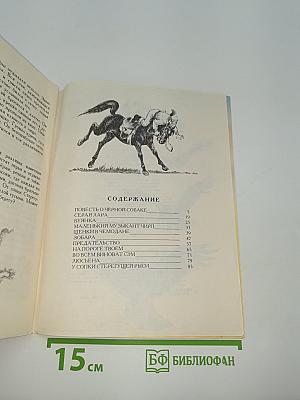 У сопки Стерегущей Рыси
