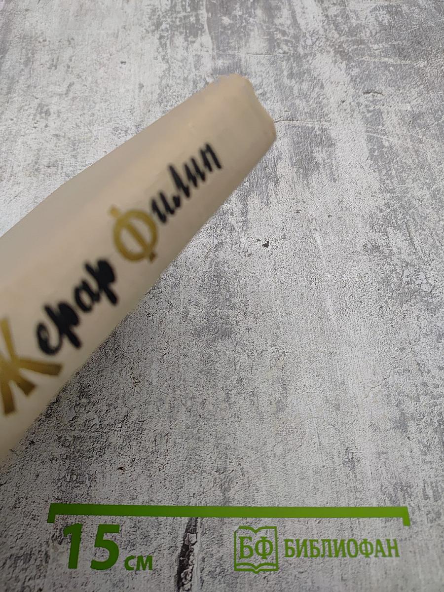 Жерар Филип. Воспоминания, собранные Анн Филип