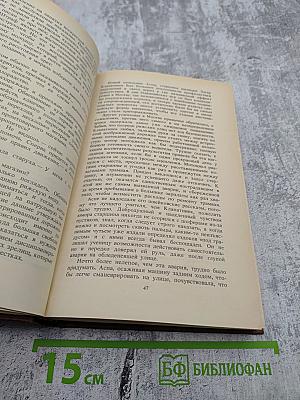 Отпуск за свой счет