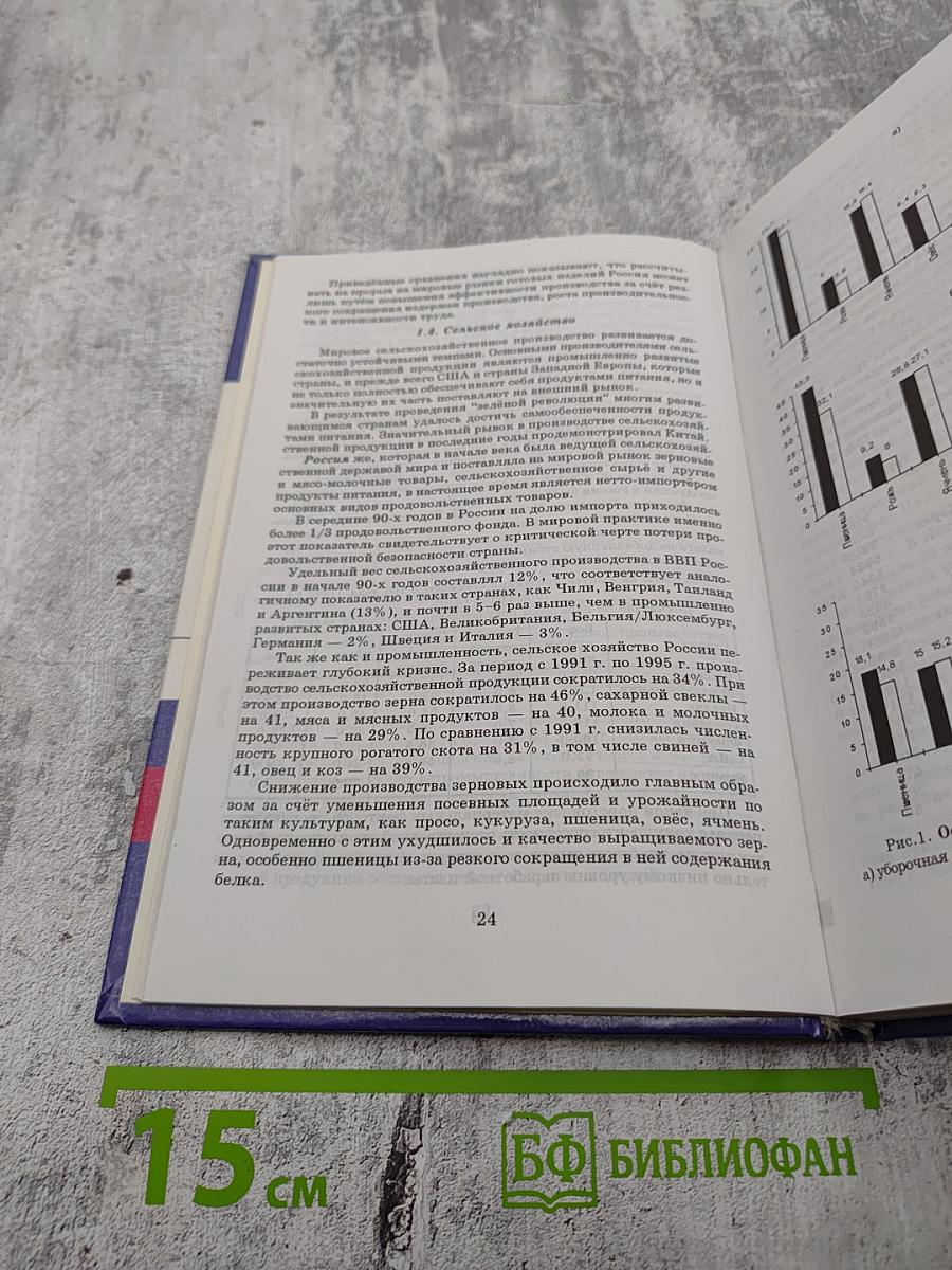 Россия в мировой экономике