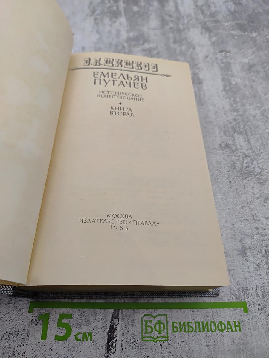 Емельян Пугачев. Историческое повествование. Книга вторая